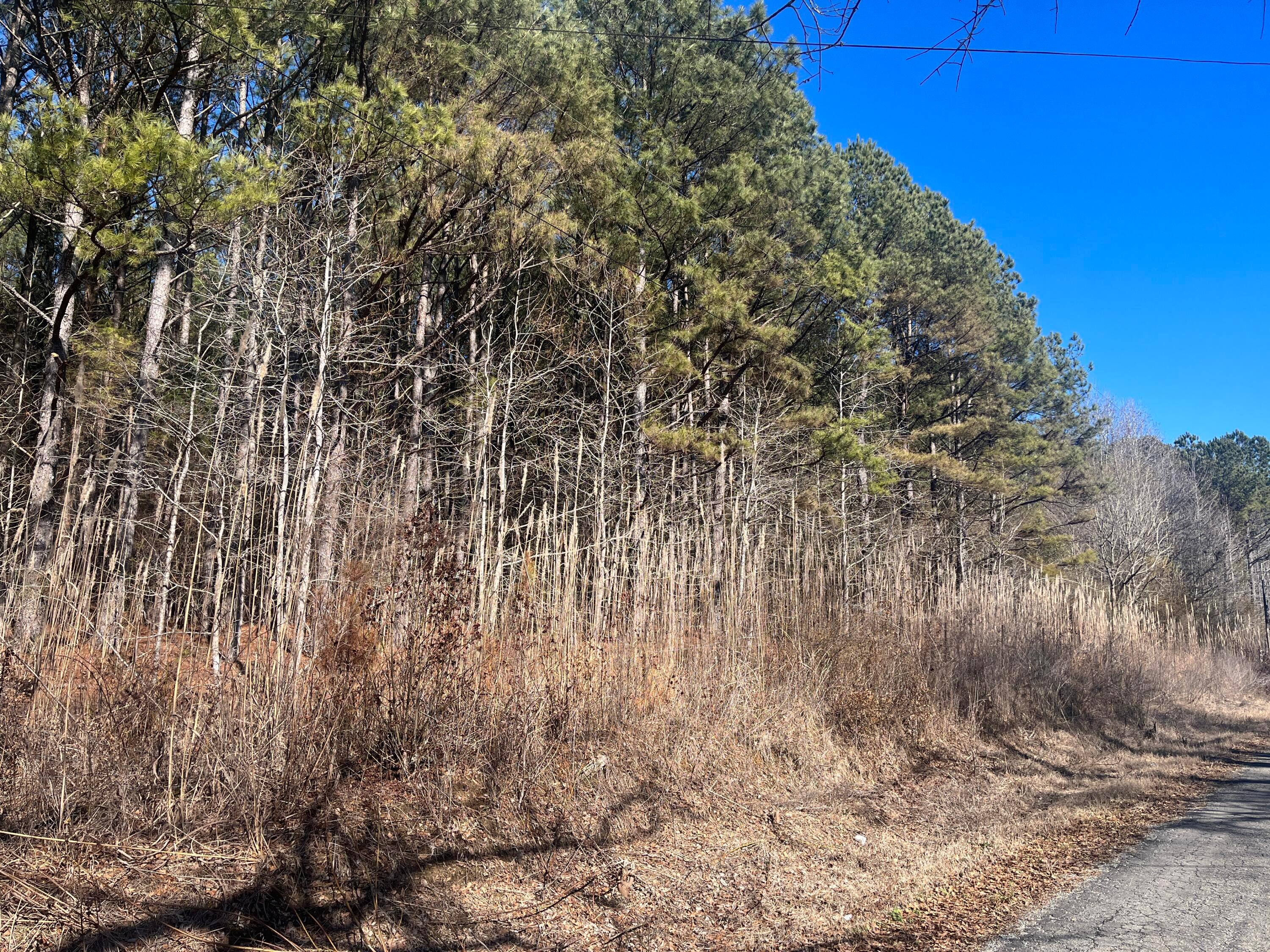 Wideman Road Nauvoo, AL 35578 - Photo 1 of 1 front