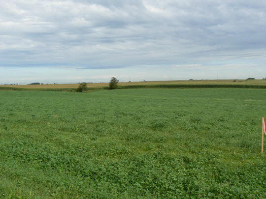 12908 Harvey Road Morrison, IL 61270 - Photo 1 of 3 a view of an ocean and beach