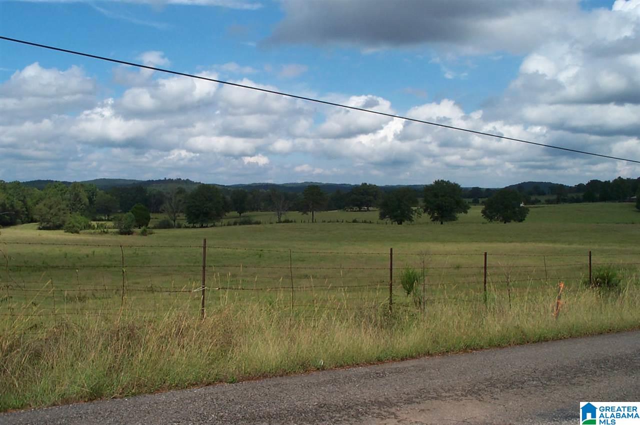 1910 Peaceful Valley Road, Unit 1 Eastaboga, AL 36260 - Photo 2 of 9