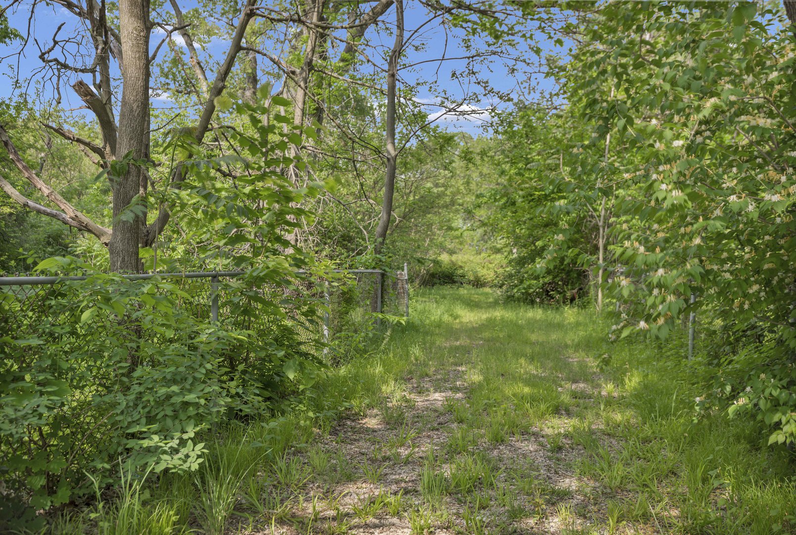 2623 Essington Road Joliet, IL 60435 - Photo 3 of 14