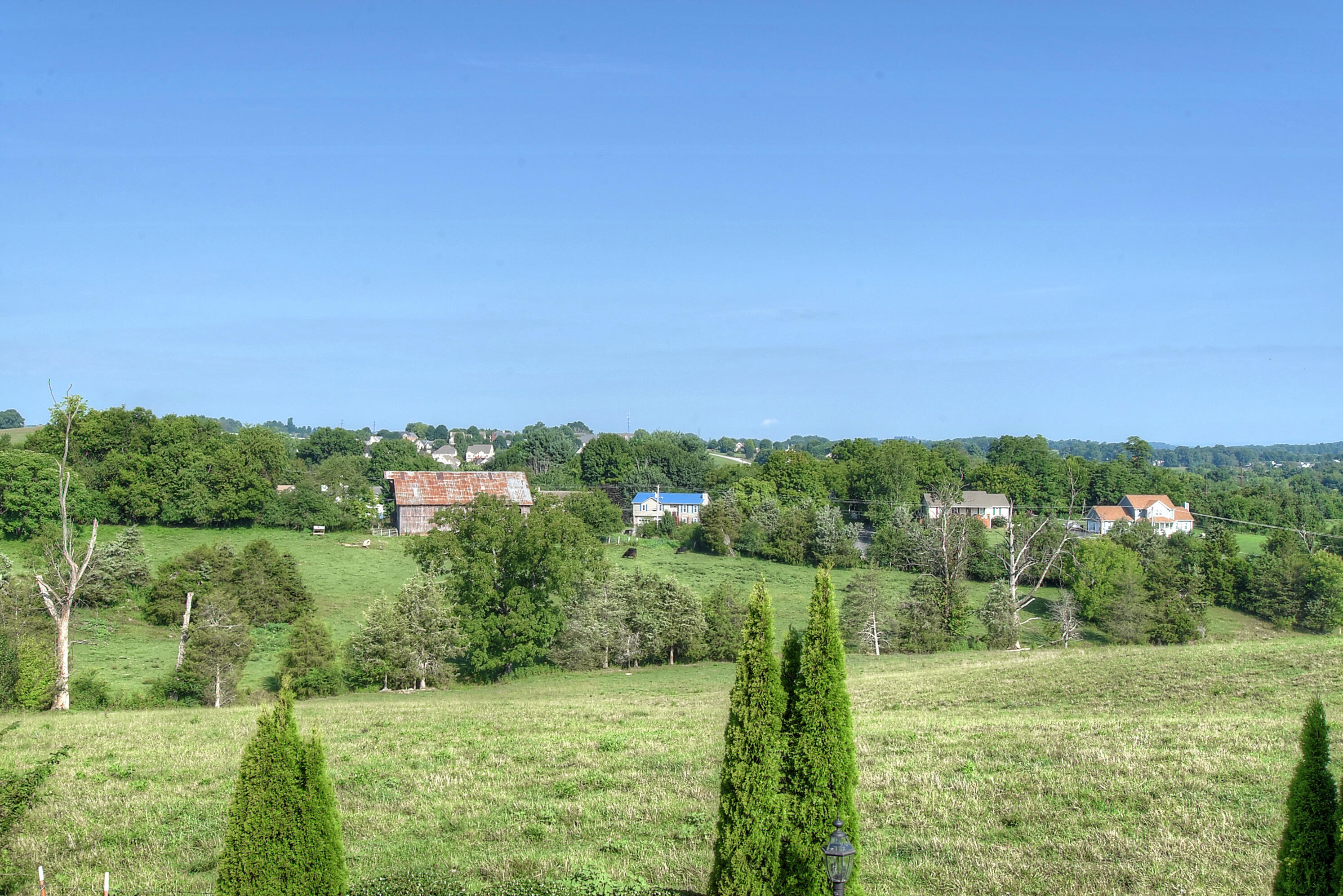 168 Azalea Ridge Johnson City, TN 37601 - Photo 61 of 67 DSC_0322_3_4_5_6_25