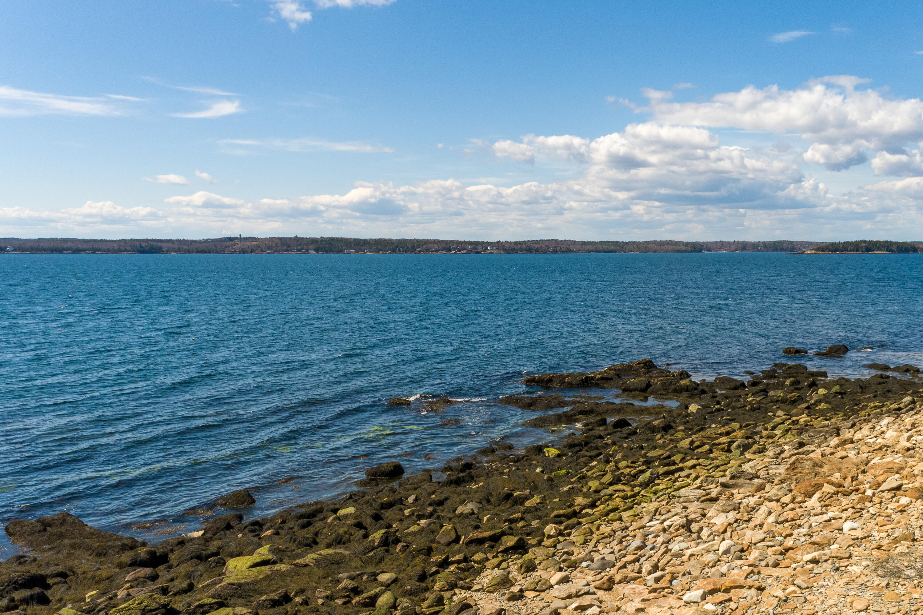 0 Bay Pines New Harbor, ME 04554 - Photo 10 of 14 (18)_Land - Pemaquid Point(MAPS)