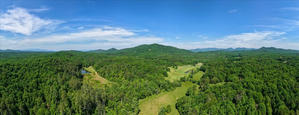 5260 Hardscrabble Road Mineral Bluff, GA 30559 - Photo 3 of 52