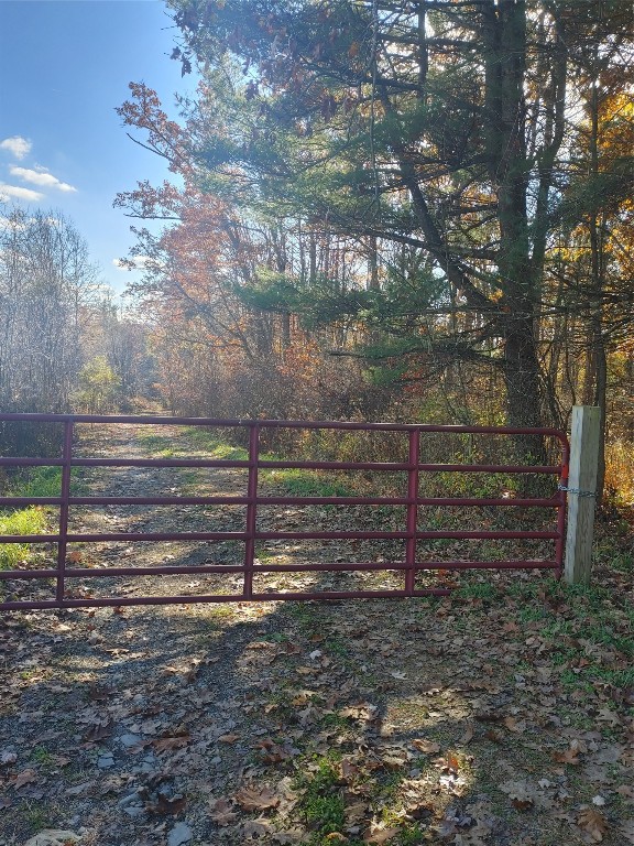 268 Nabinger Hill Road Nineveh, NY 13813 - Photo 3 of 21 Gallery Image 3
