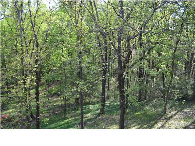 1800 Hidden Harbor Road Hixson, TN 37343 - Photo 23 of 29 Additional Photo
