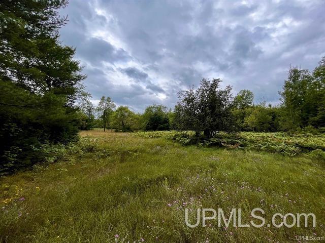 9692 North Laird Road Pelkie, MI 49958 - Photo 42 of 44