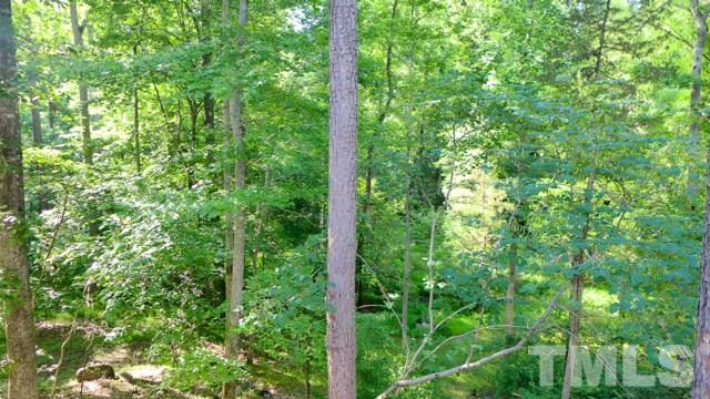 247 Fox Ridge Road Pittsboro, NC 27312 - Photo 20 of 24 Another beautiful view!