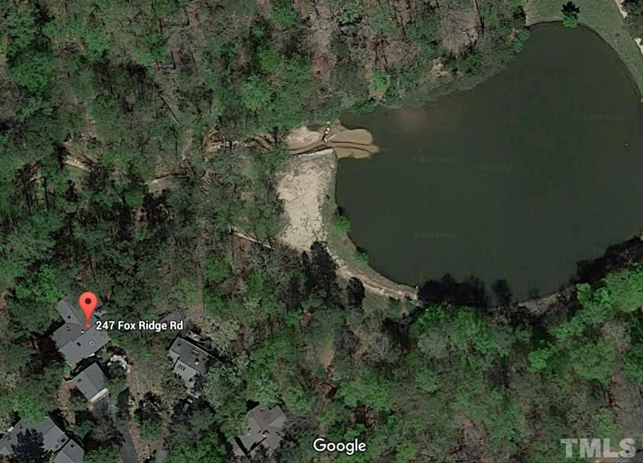 247 Fox Ridge Road Pittsboro, NC 27312 - Photo 22 of 24 Enjoy winter views and a moment's walk to this lovely pond set among the woods.