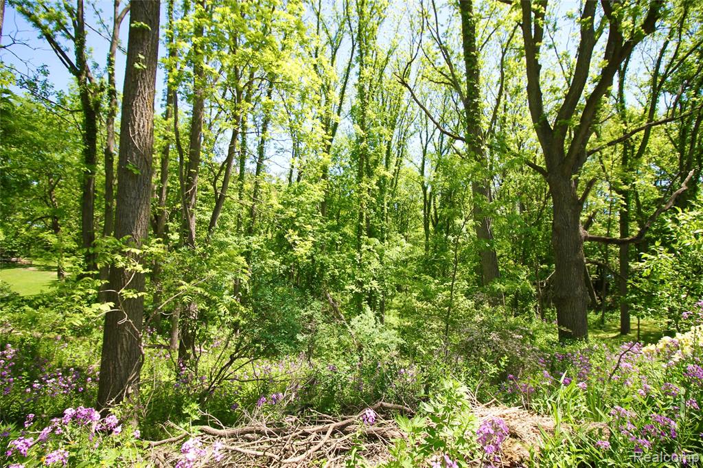 8372 Parshallville Road Fenton, MI 48430 - Photo 42 of 44