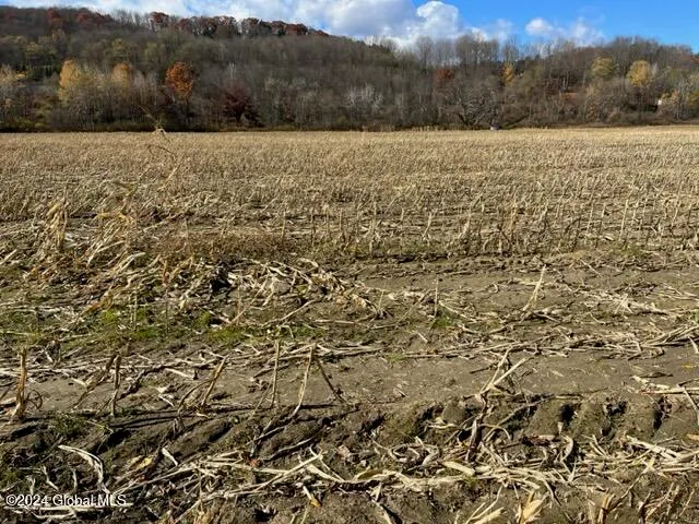 $45,000 | 8 New Berlin Ny 13411, Deposit, NY 13754