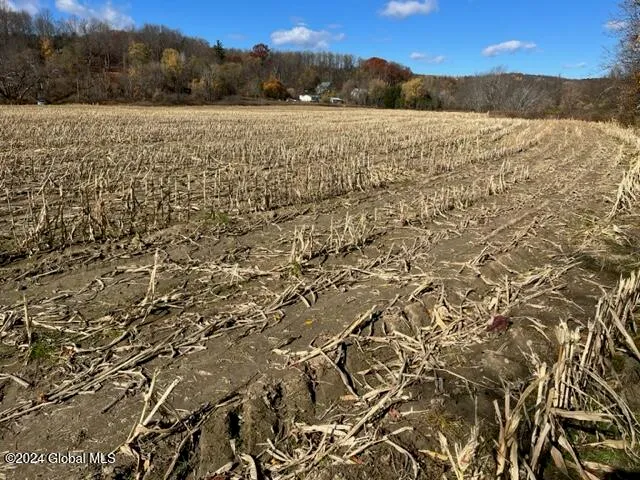 $45,000 | 8 New Berlin Ny 13411, Deposit, NY 13754