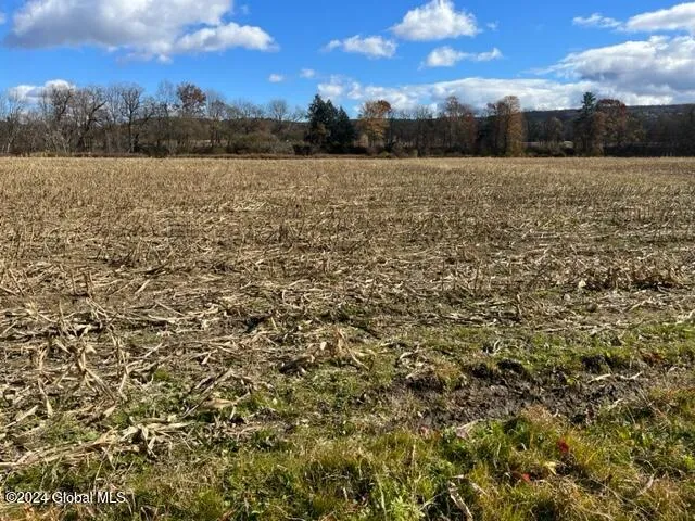 $45,000 | 8 New Berlin Ny 13411, Deposit, NY 13754