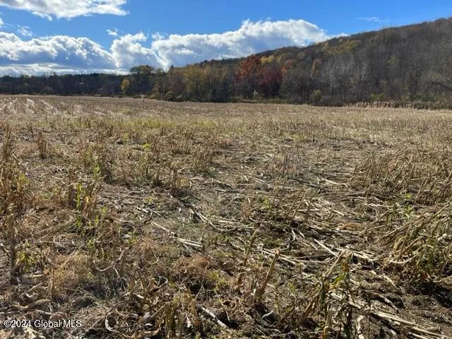 $45,000 | 8 New Berlin Ny 13411, Deposit, NY 13754