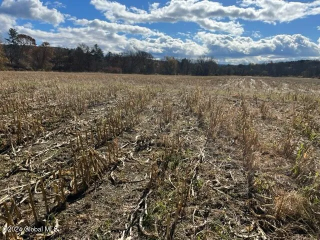 $45,000 | 8 New Berlin Ny 13411, Deposit, NY 13754