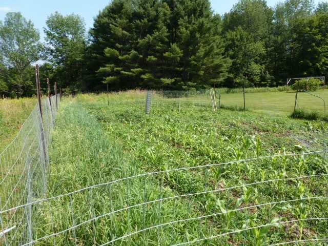 32 P Ridge Road Readfield, ME 04355 - Photo 16 of 22 Yard/Garden.