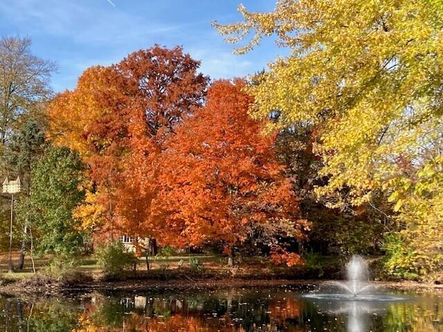 6980 South Old State Road Lewis Center, OH 43035 - Photo 54 of 66 Fall Color