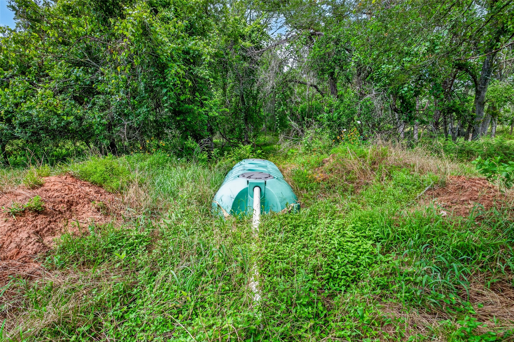 266 Beaver Road Elgin, TX 78621 - Photo 15 of 40 A green septic tank system is seamlessly integrated into this verdant landscape.