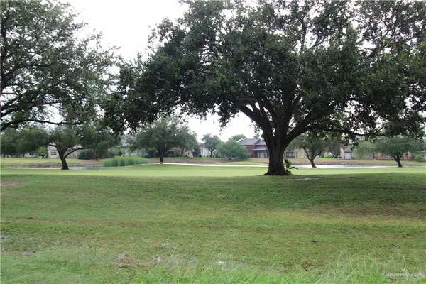 a view of field with trees