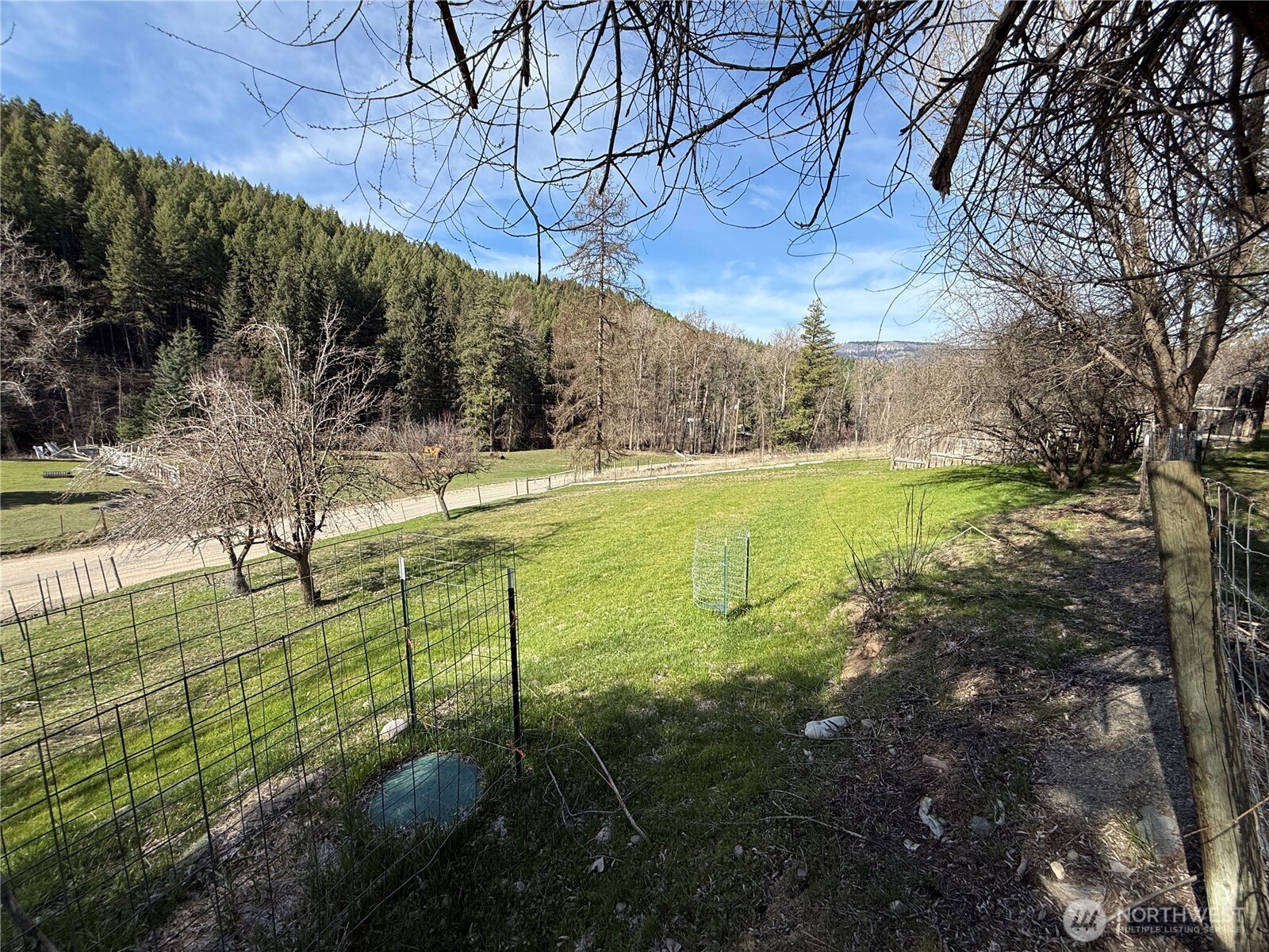 155 St Peters Creek Road Malo, WA 99150 - Photo 28 of 40