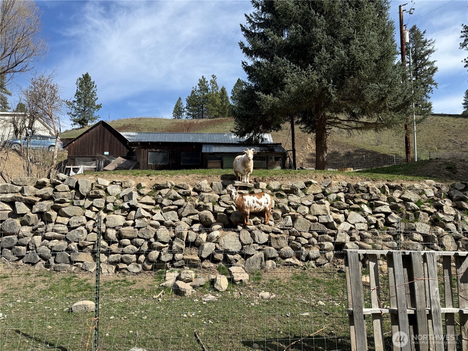 155 St Peters Creek Road Malo, WA 99150 - Photo 37 of 40