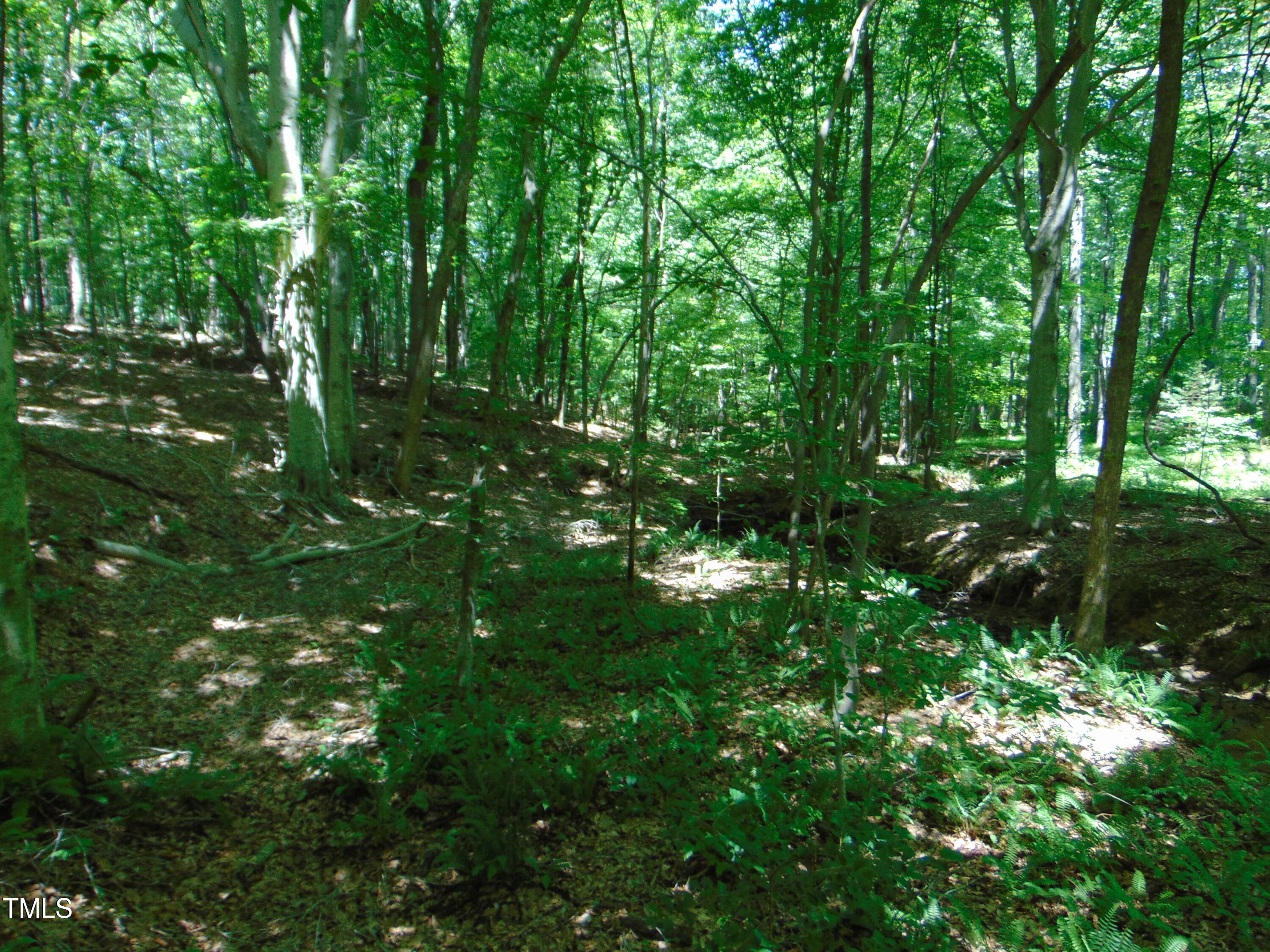 Lot 3 Hesters Store Road Roxboro, NC 27574 - Photo 5 of 13 Copy of DSC00775