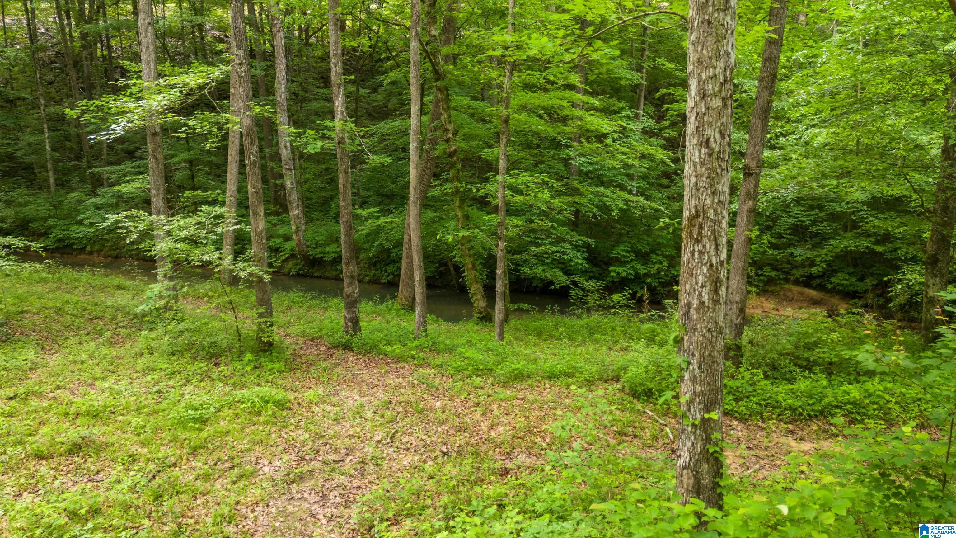 732 Mill Creek Road Warrior, AL 35180 - Photo 56 of 65