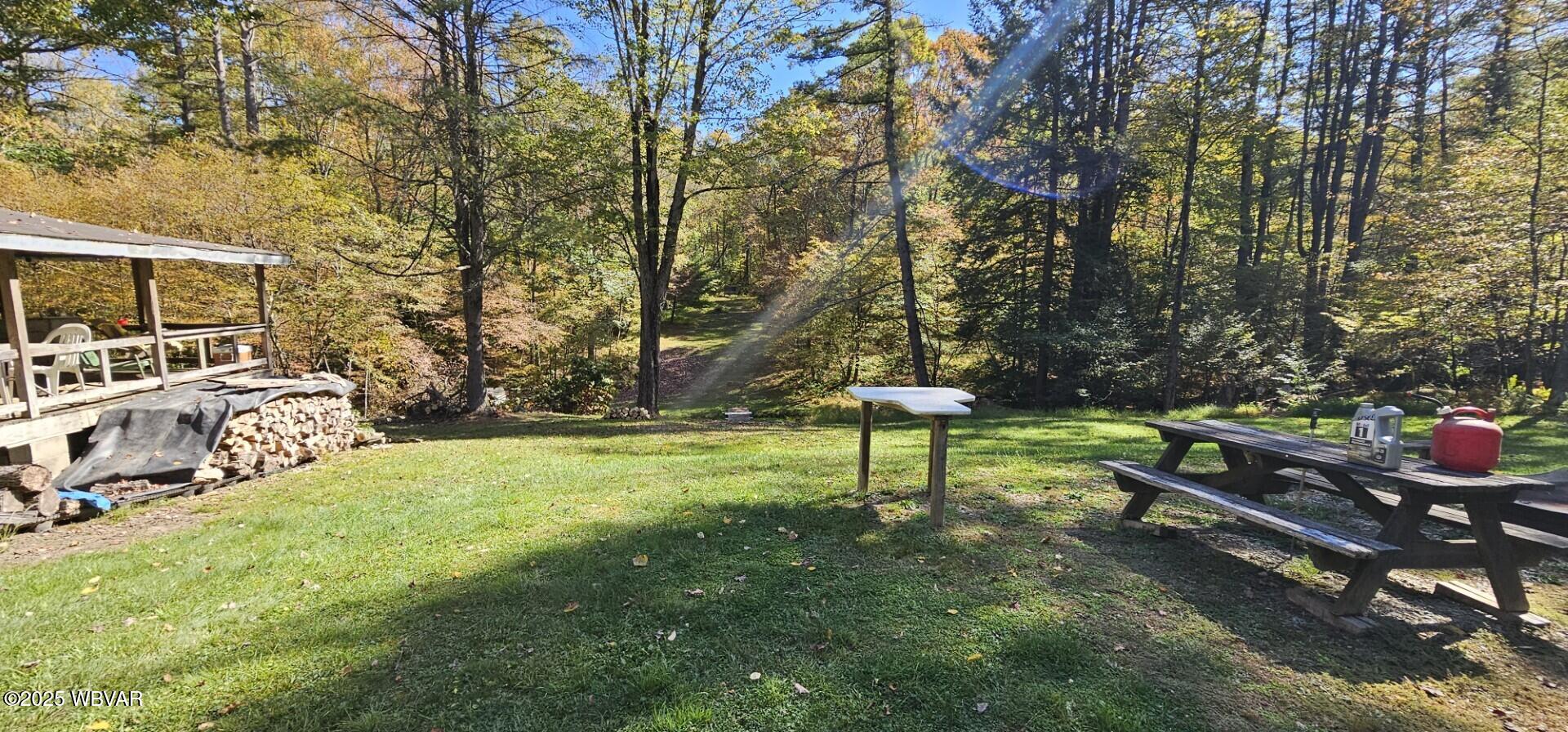 167 Hensel Fork Road Cross Fork, PA 17729 - Photo 16 of 18 Shooting Range