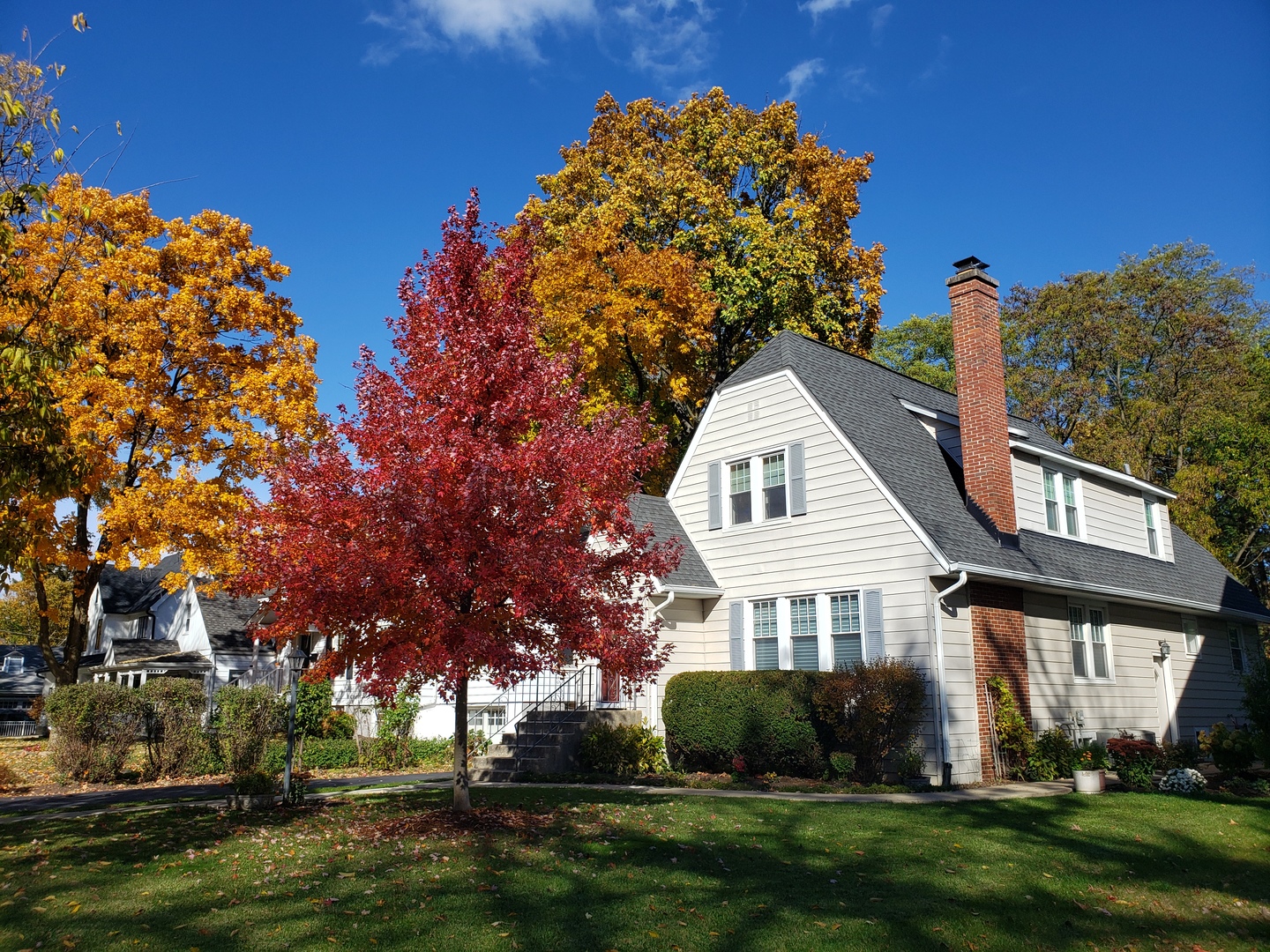 5433 Brookbank Road Downers Grove, IL 60515 - Photo 1 of 28