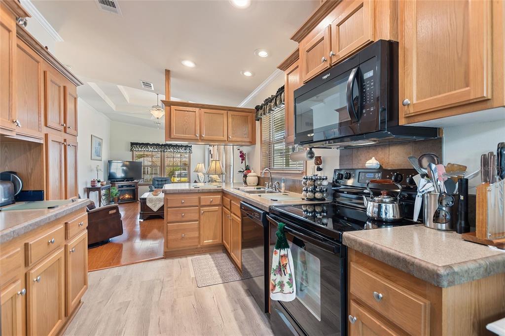 142 Citrus Ridge Drive Davenport, FL 33837 - Photo 13 of 38