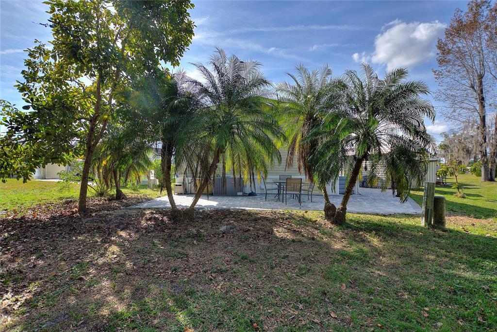 142 Citrus Ridge Drive Davenport, FL 33837 - Photo 6 of 38