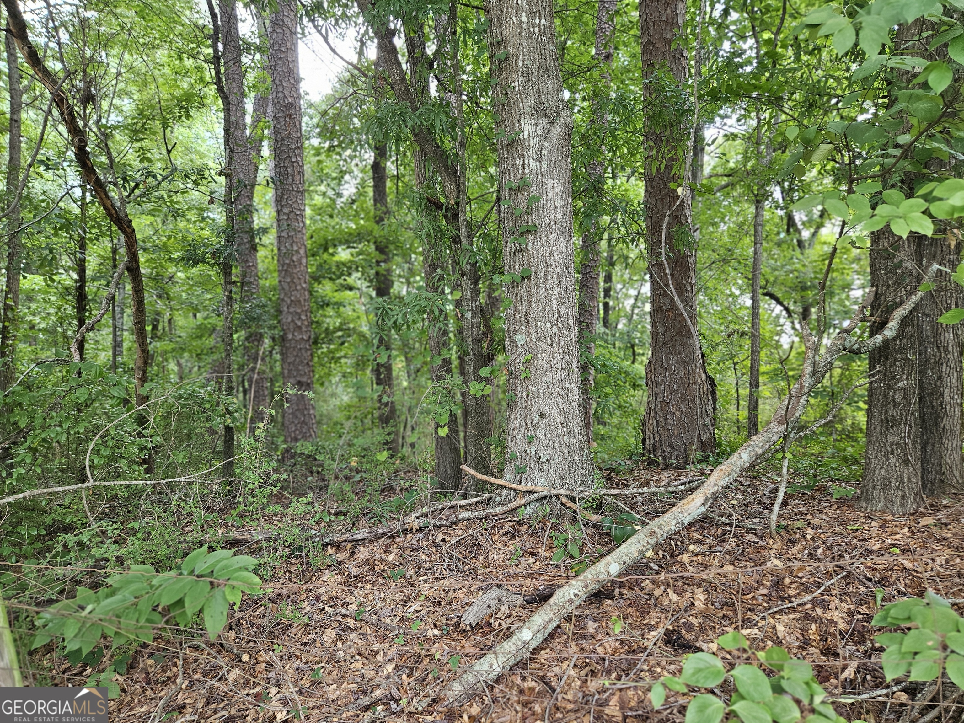 Lot 4 June Ivey Road Bethlehem, GA 30620 - Photo 11 of 18
