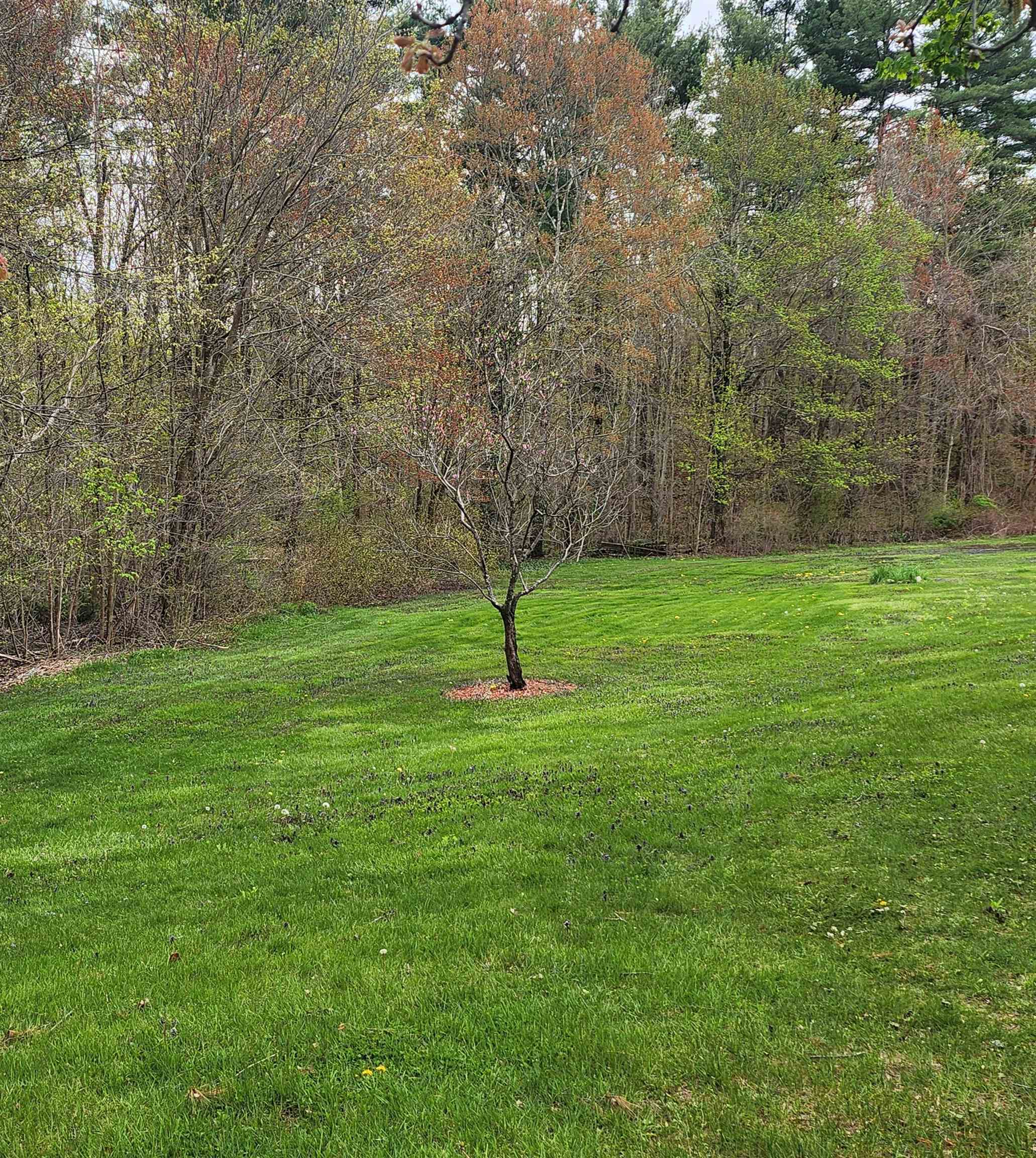 165 A Old Derry Road, Unit A Hudson, NH 03051 - Photo 11 of 21 Gallery Image 11