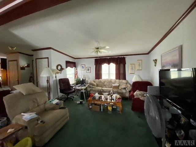 211 Sign Pine Road Tyner, NC 27980 - Photo 4 of 21