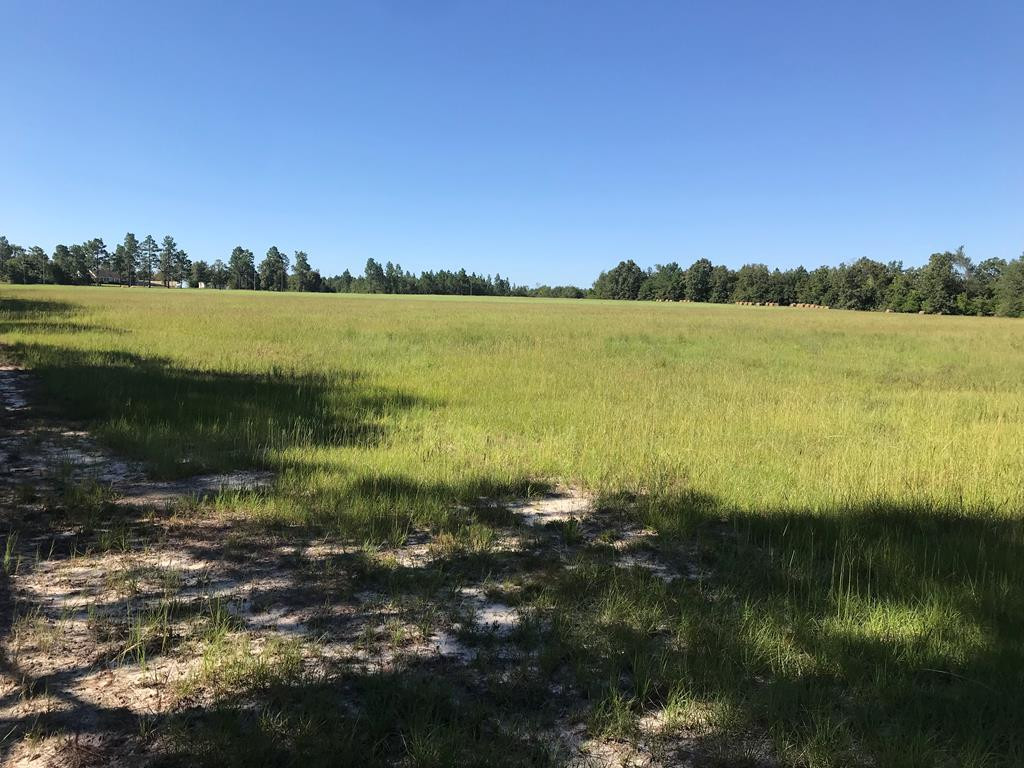 462 Colbert Bridge Road Windsor, SC 29856 - Photo 14 of 18