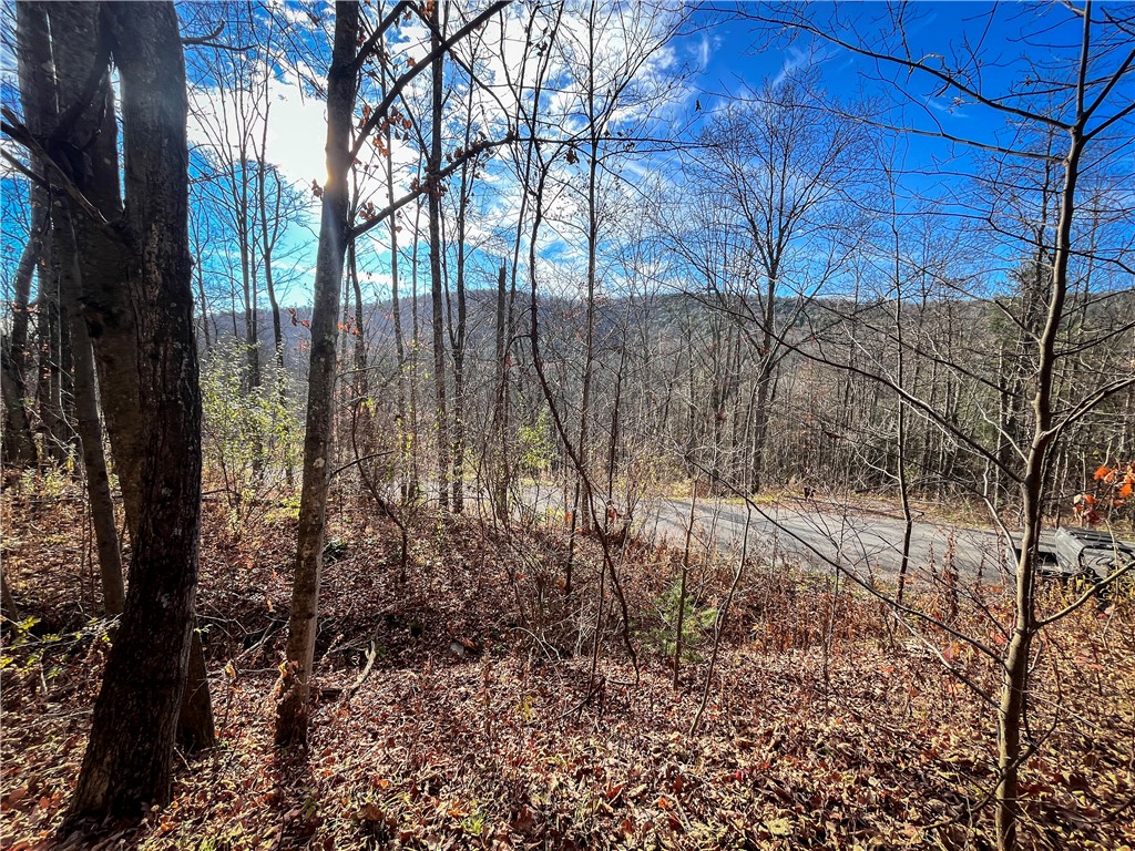 1188 Braybrook Road Chemung, NY 14861 - Photo 7 of 45