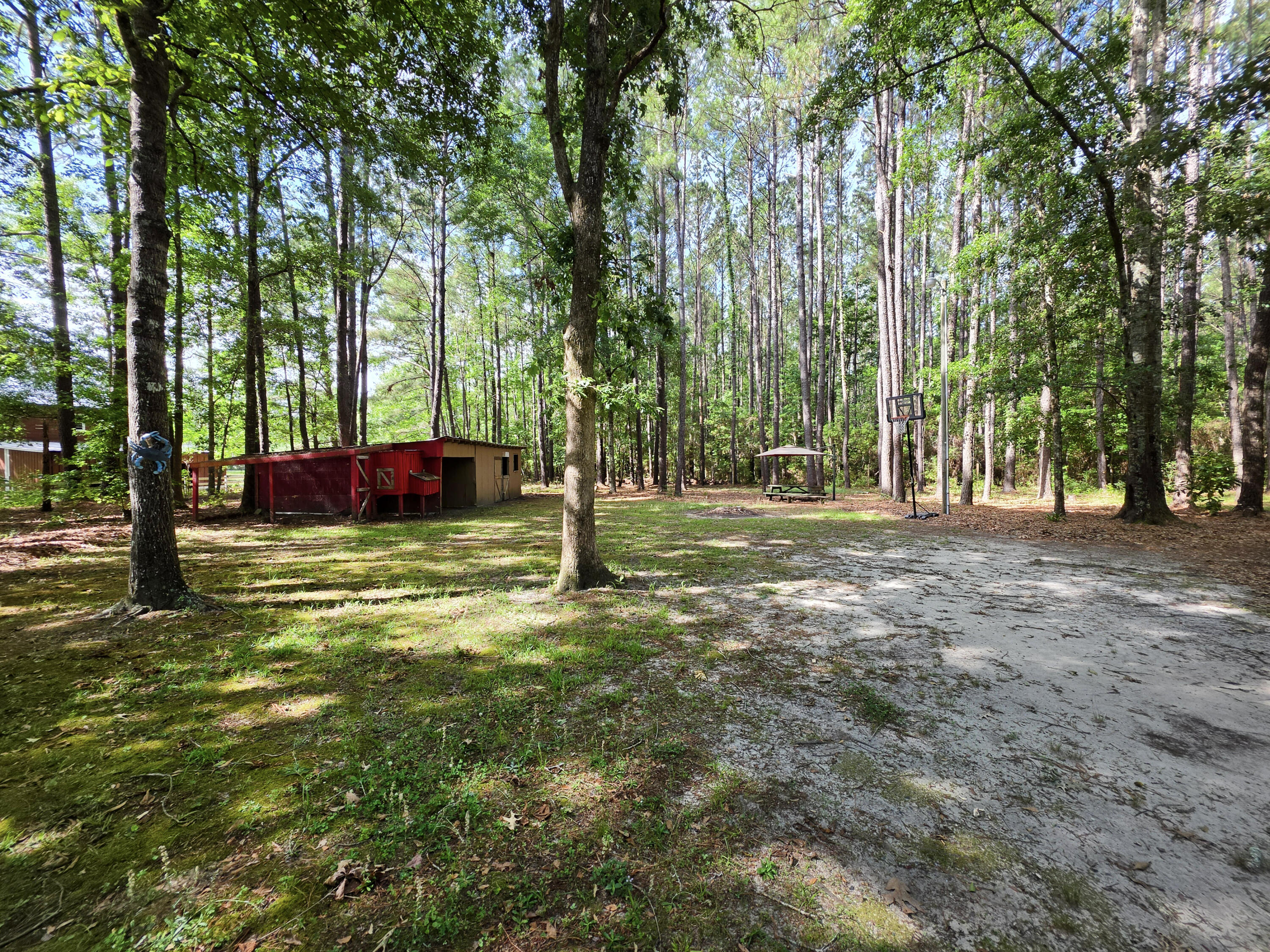 7271 George Washington Lane Awendaw, SC 29429 - Photo 24 of 31 5-CoopandBarn