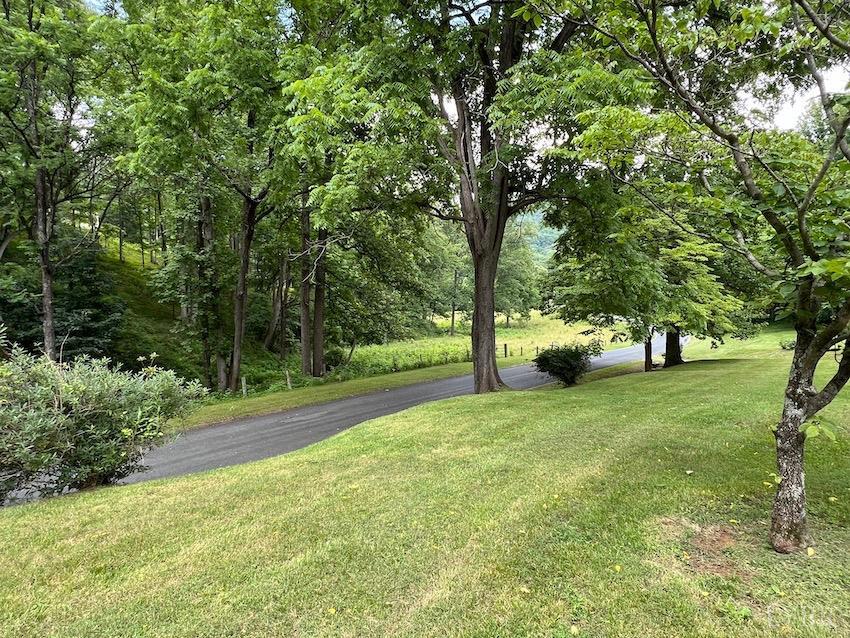 929 Sardis Road Amherst, VA 24521 - Photo 4 of 24 a view of backyard with tree