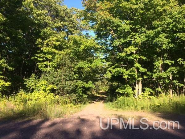 Tbd Centennial Heights Road Calumet, MI 49913 - Photo 2 of 9