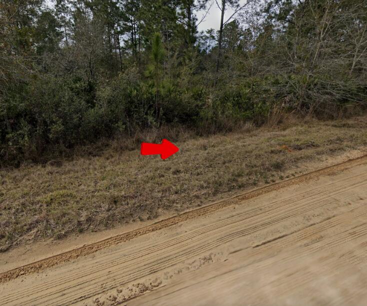 a view of a dry yard with wooden fence