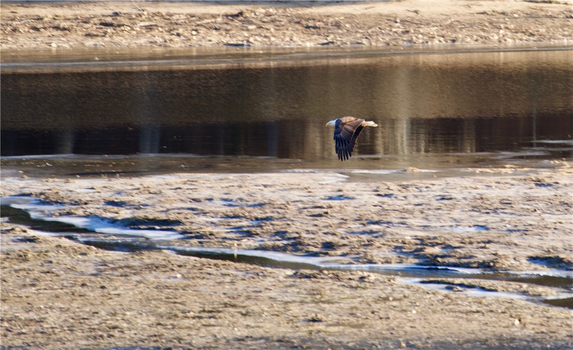 28 Pine Tree Road Coventry, RI 02816 - Photo 49 of 50