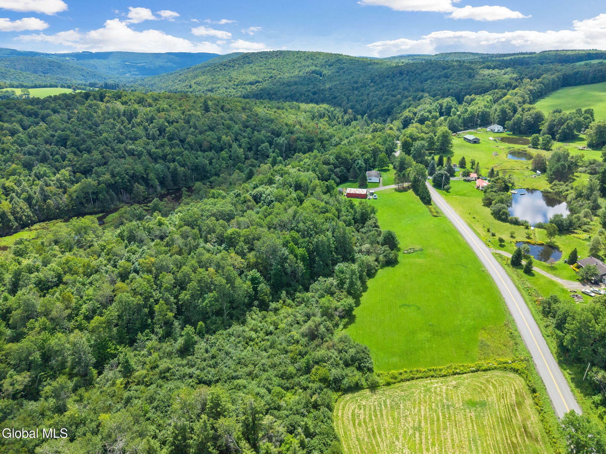 744 County Road 38 Decatur, NY 12197 - Photo 56 of 71 56-744CR-38_056