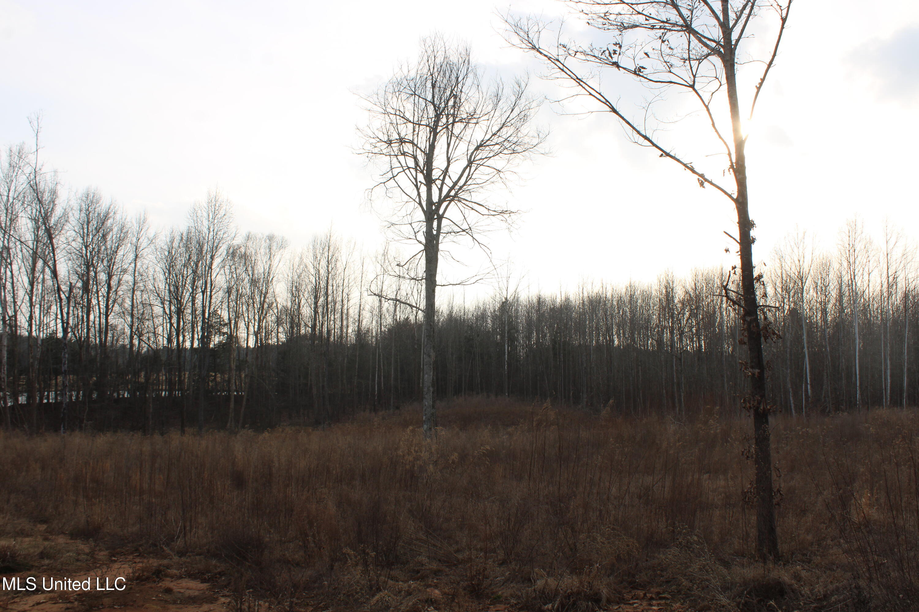 797 Gardner Road Holly Springs, MS 38635 - Photo 11 of 22 IMG_7408