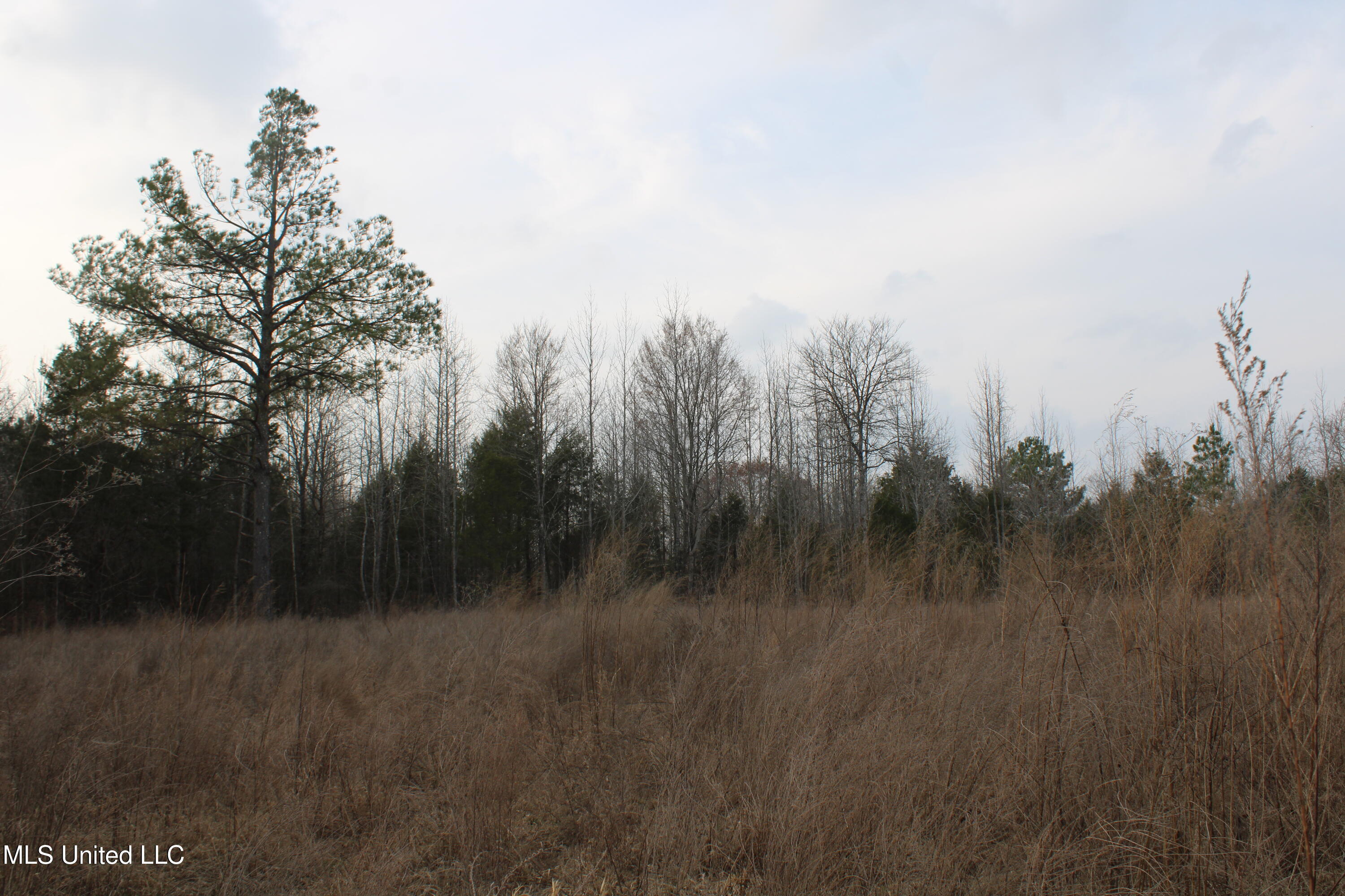 797 Gardner Road Holly Springs, MS 38635 - Photo 12 of 22 IMG_7409