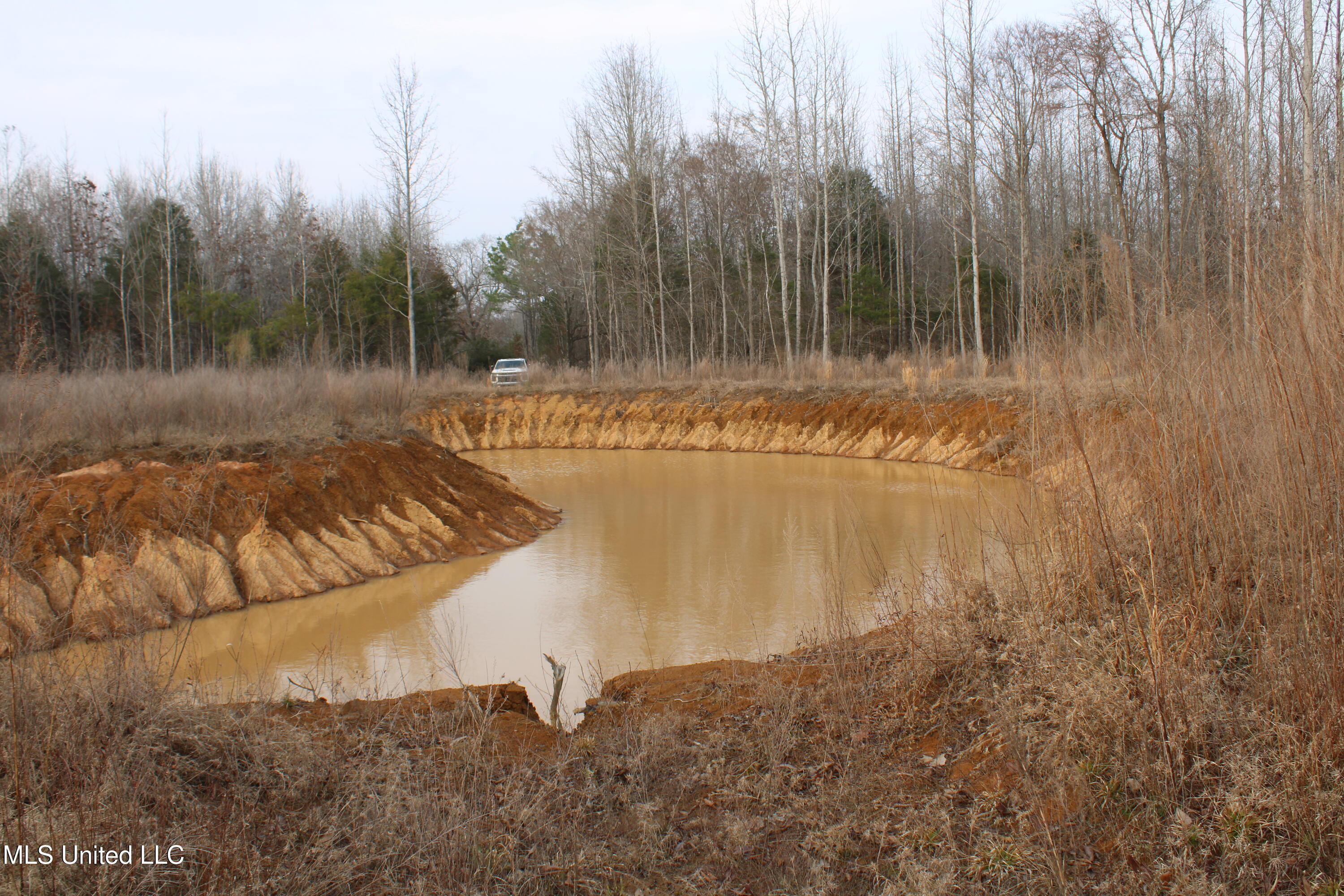 797 Gardner Road Holly Springs, MS 38635 - Photo 13 of 22 IMG_7410