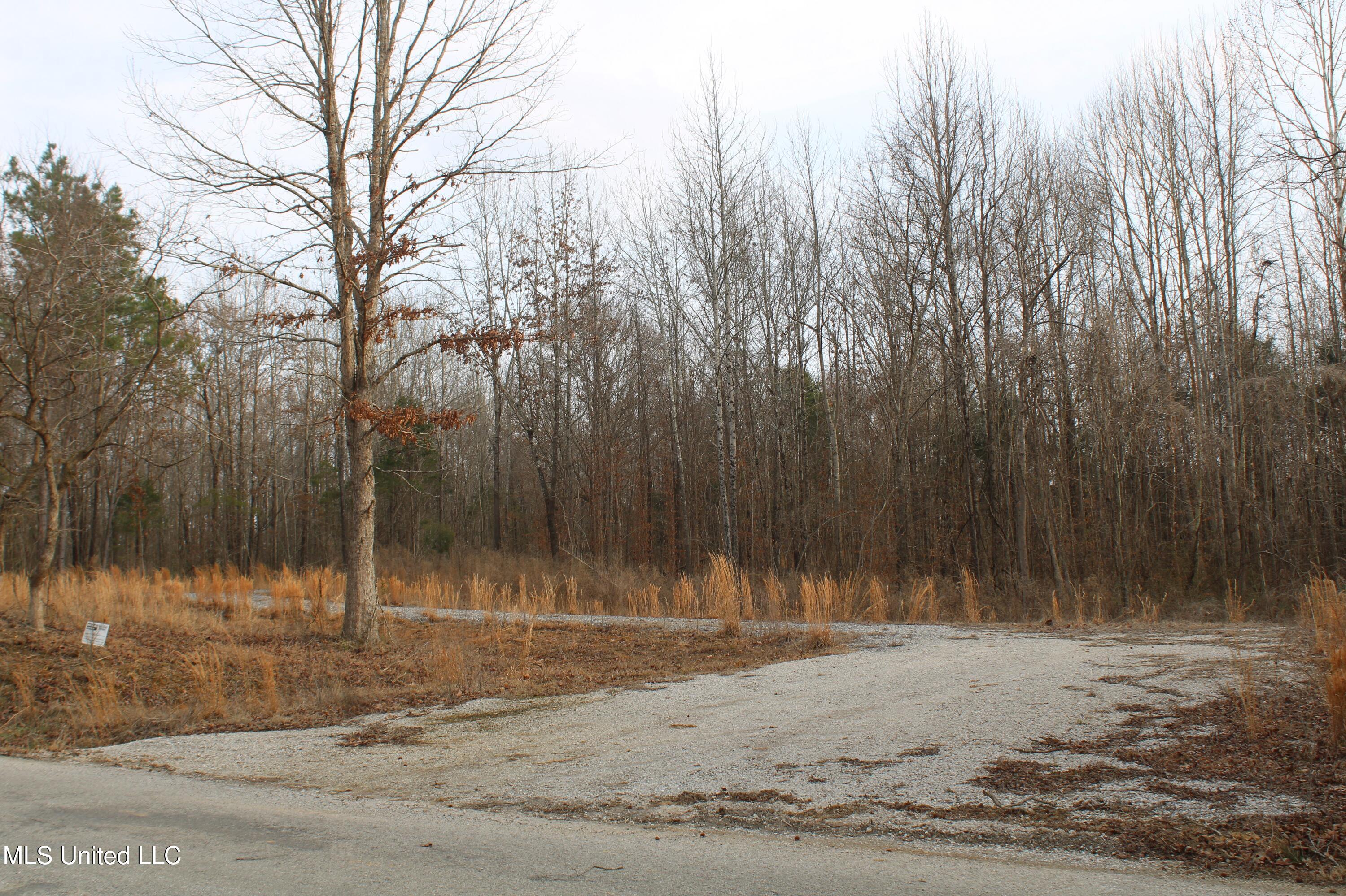 797 Gardner Road Holly Springs, MS 38635 - Photo 15 of 22 IMG_7395