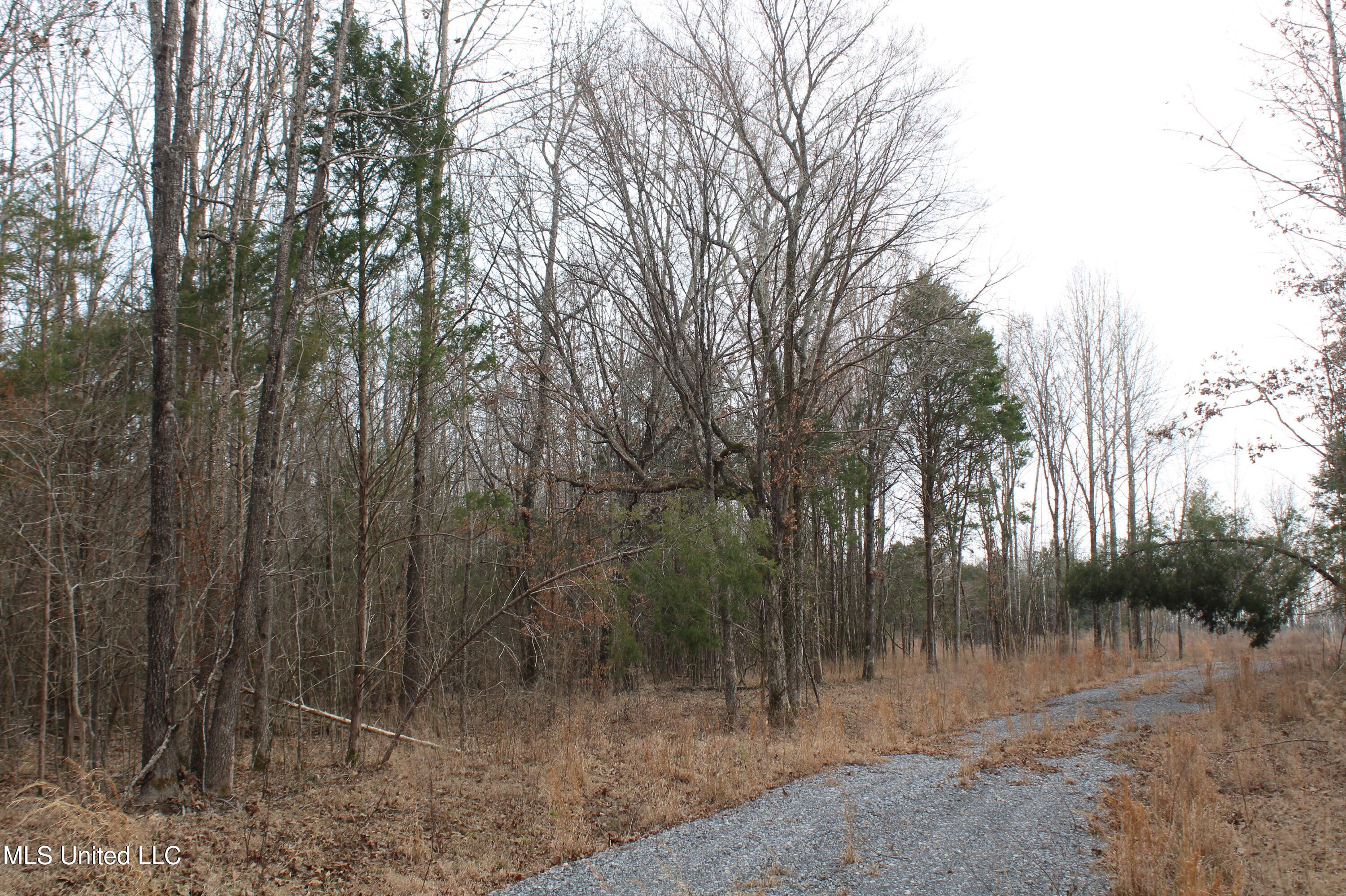 797 Gardner Road Holly Springs, MS 38635 - Photo 16 of 22 IMG_7399