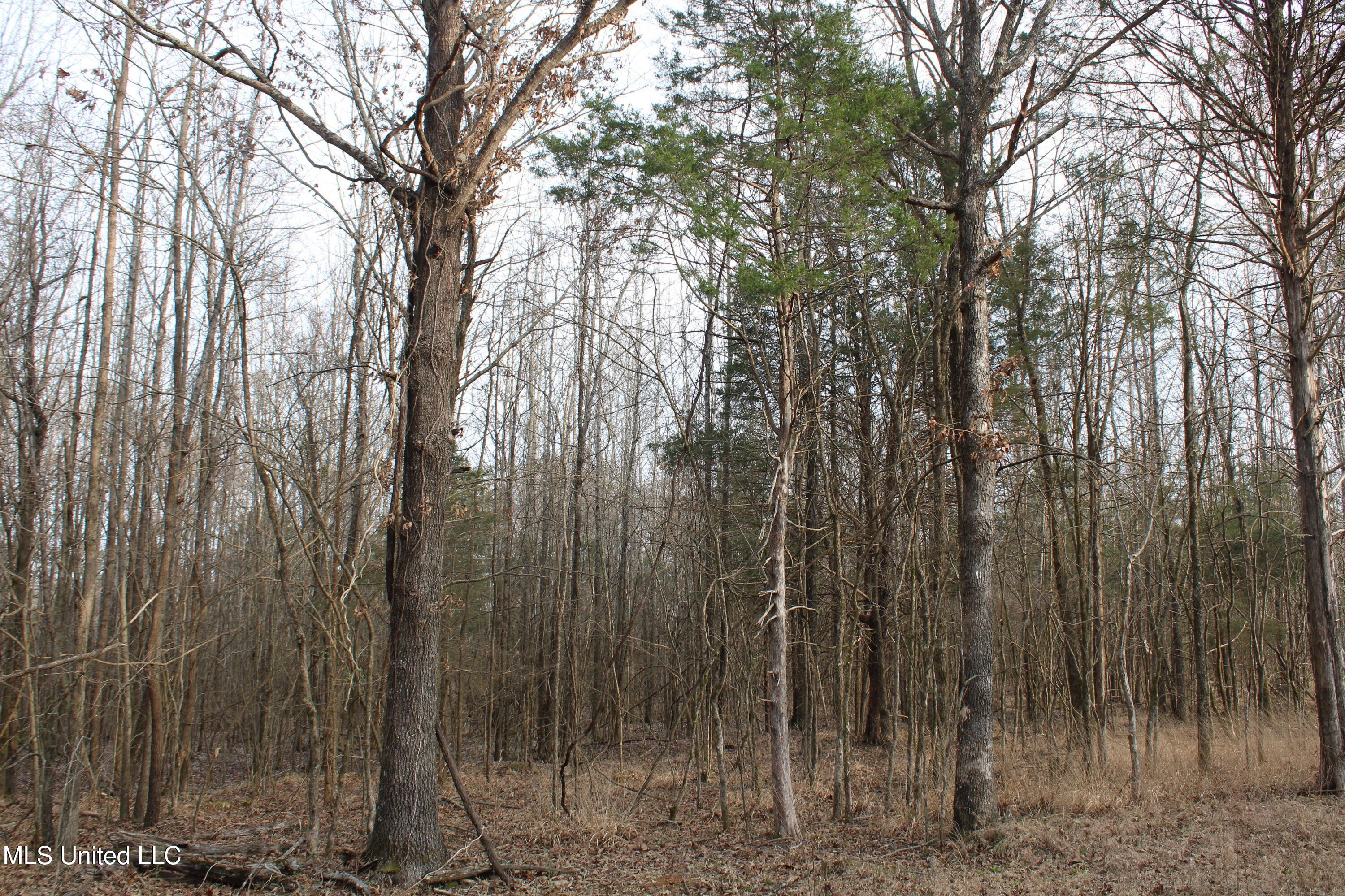 797 Gardner Road Holly Springs, MS 38635 - Photo 18 of 22 IMG_7403