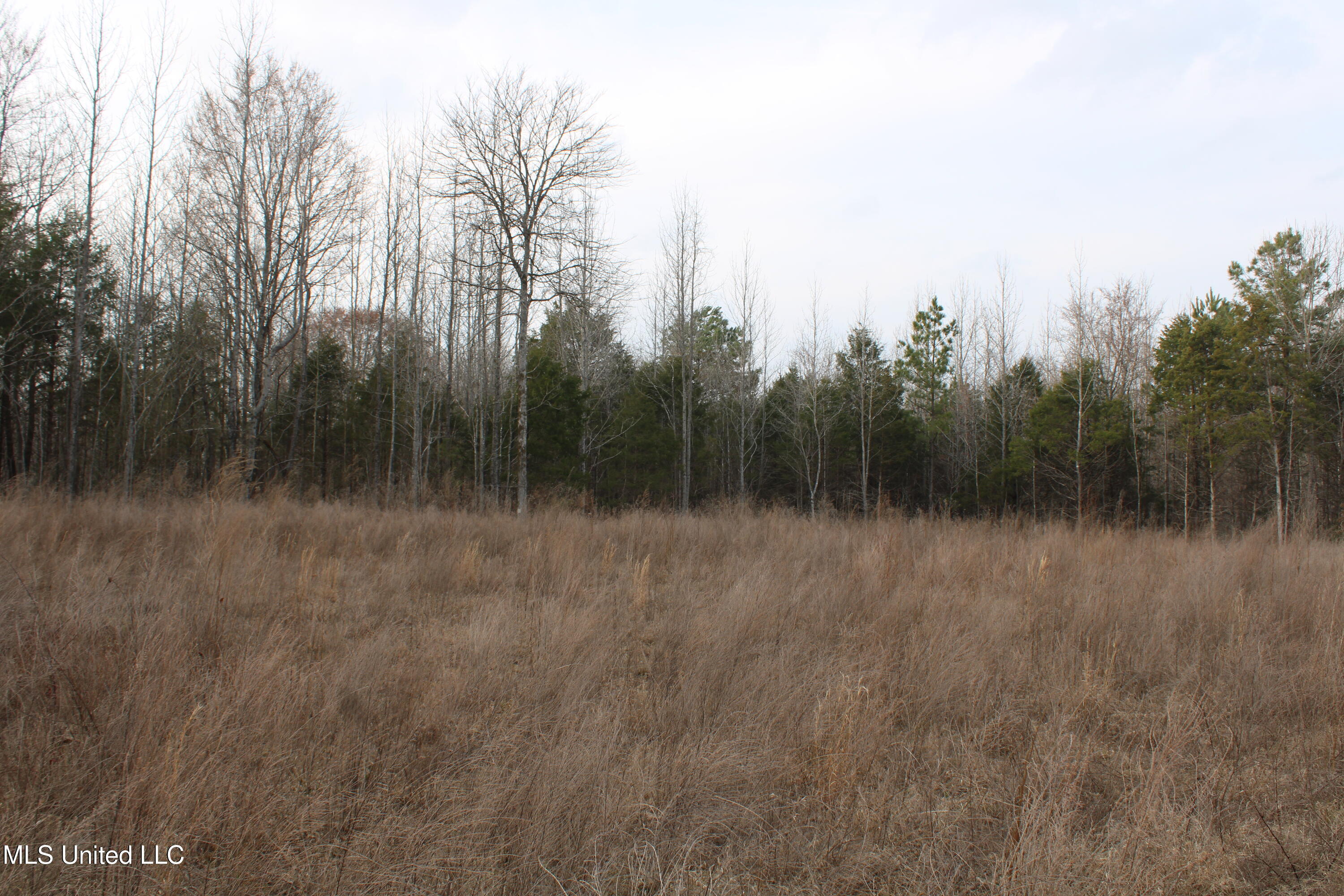 797 Gardner Road Holly Springs, MS 38635 - Photo 19 of 22 IMG_7411