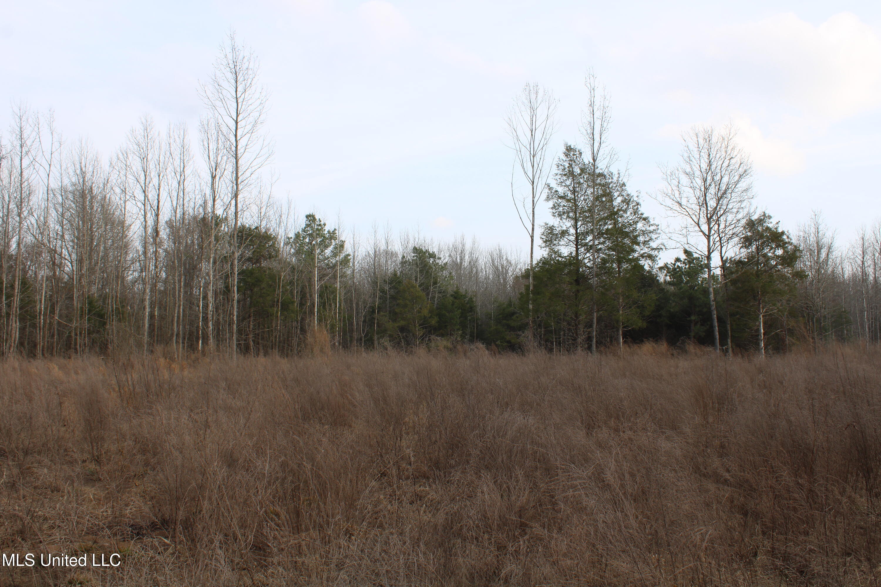 797 Gardner Road Holly Springs, MS 38635 - Photo 20 of 22 IMG_7412