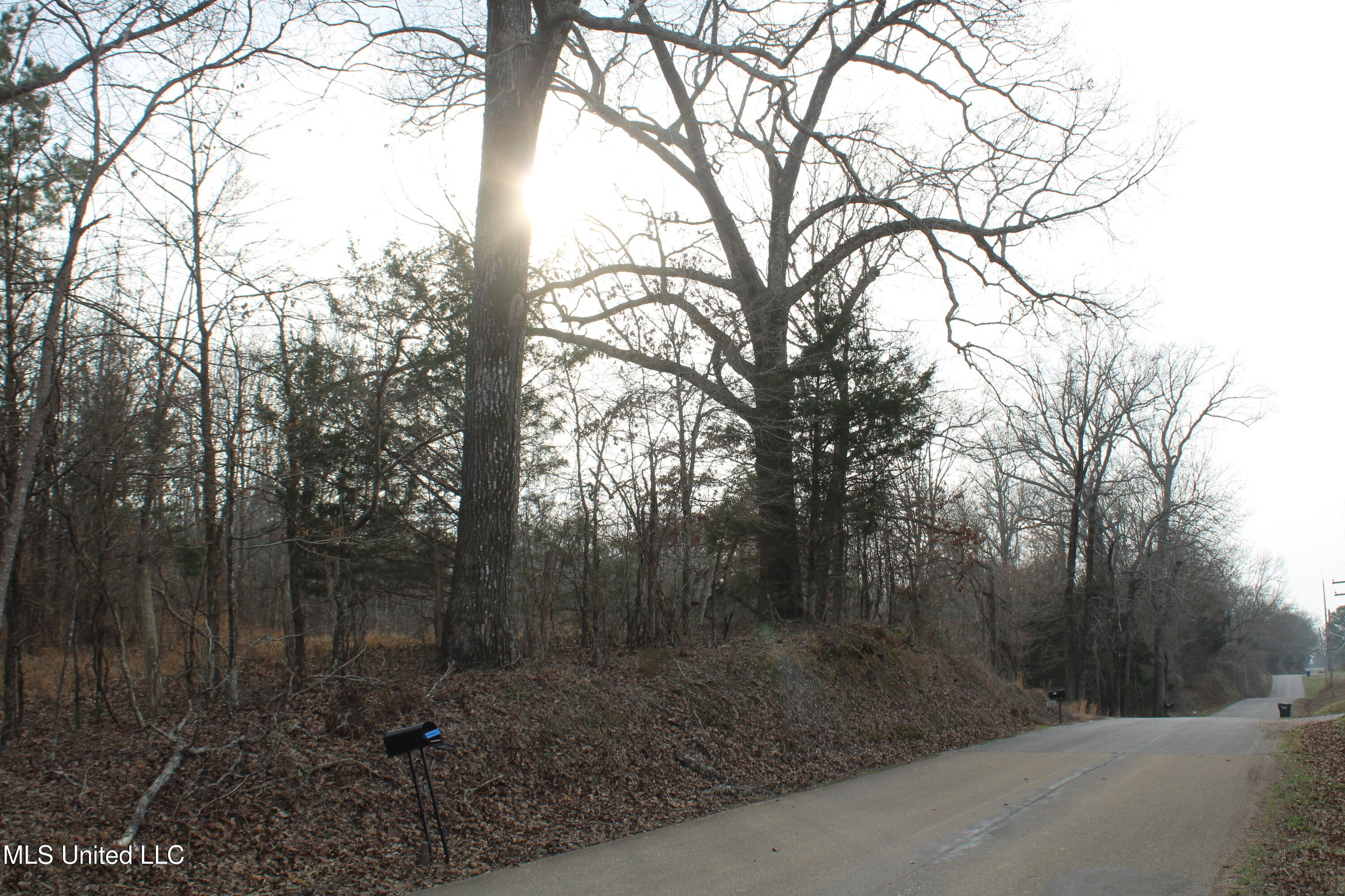 797 Gardner Road Holly Springs, MS 38635 - Photo 2 of 22 IMG_7393